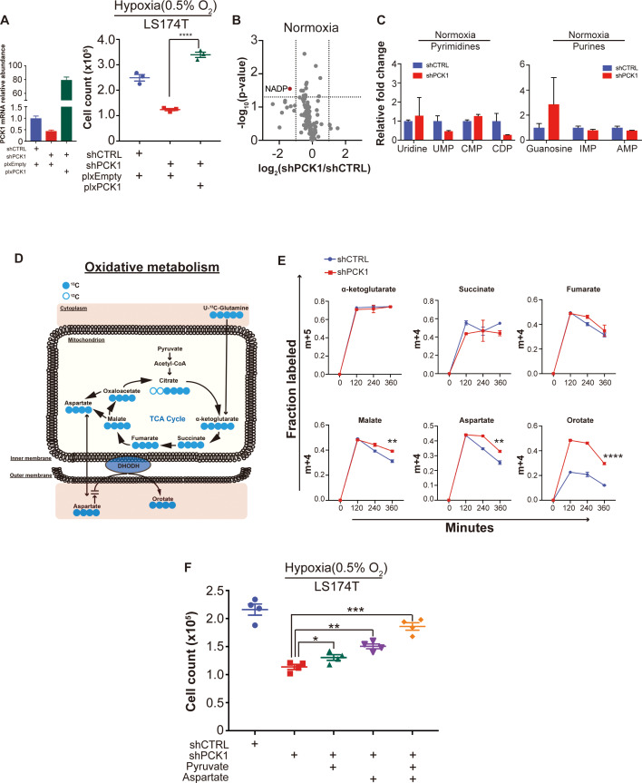 Figure 6—figure supplement 1.