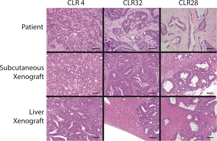 Figure 2—figure supplement 2.