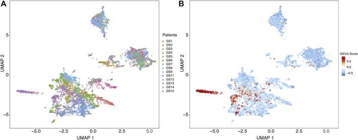 FIGURE 4