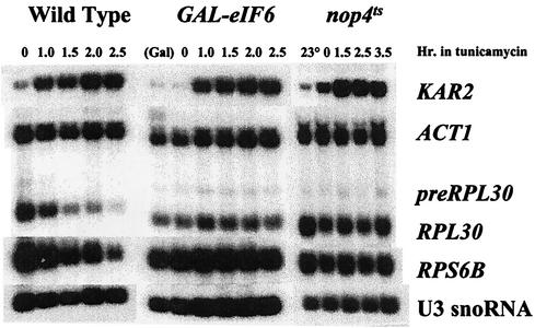 FIG. 5.