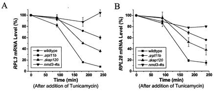 FIG. 8.