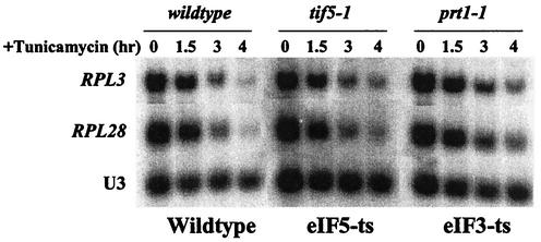 FIG. 7.