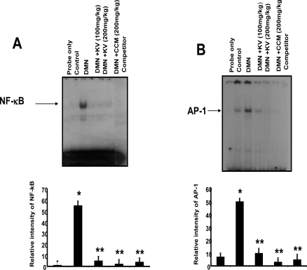 Figure 10.