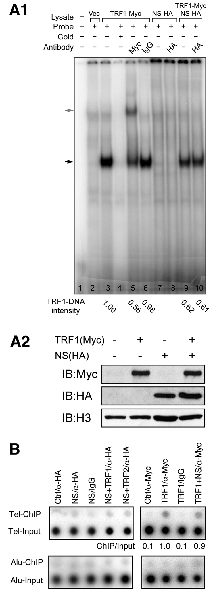 Fig. 5.