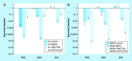 Figure 5. 