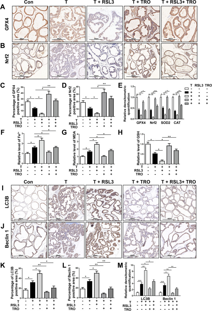 Fig. 11