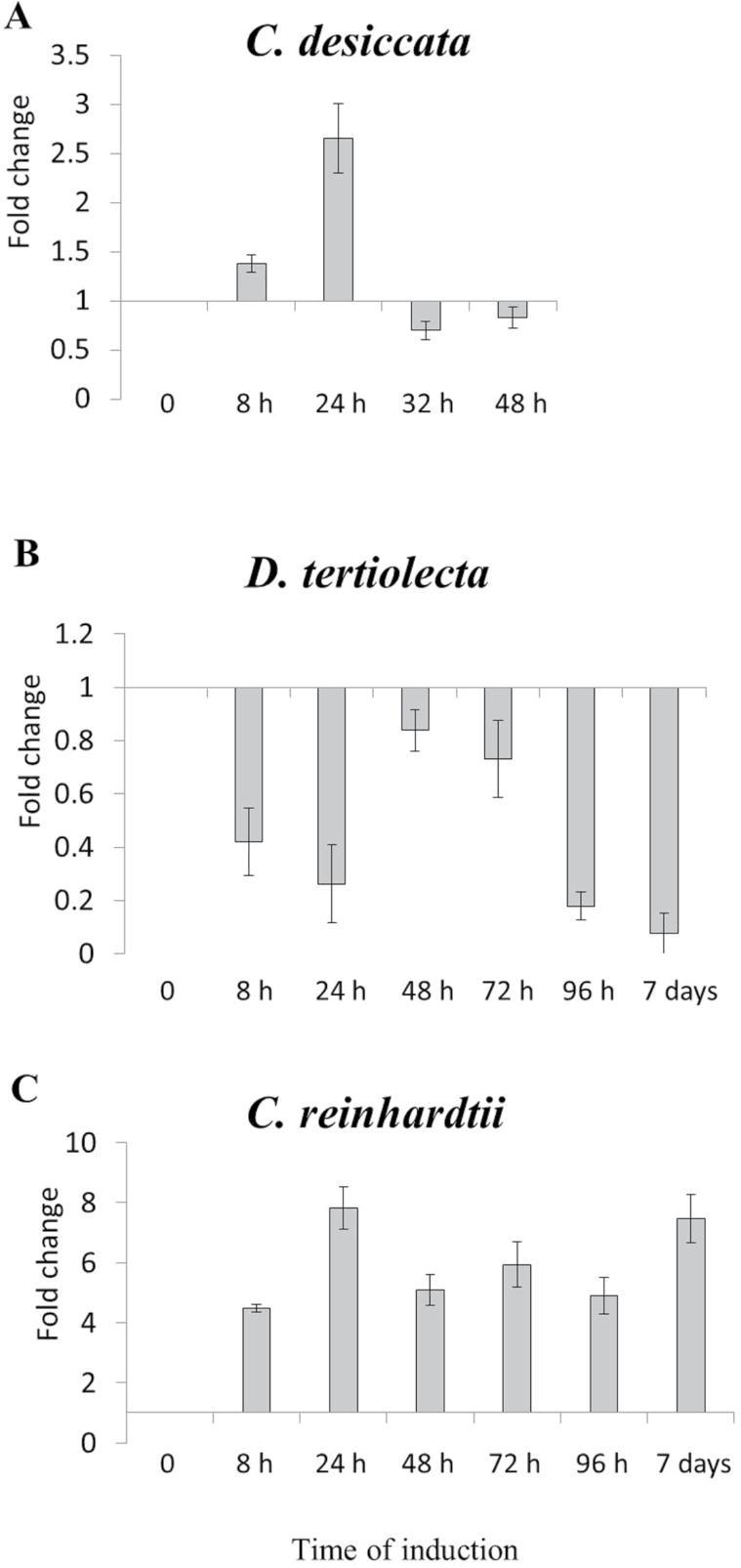 Fig. 6.