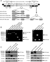 FIG 1