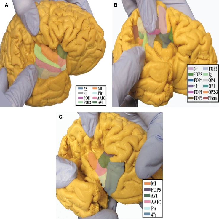 FIGURE 1.