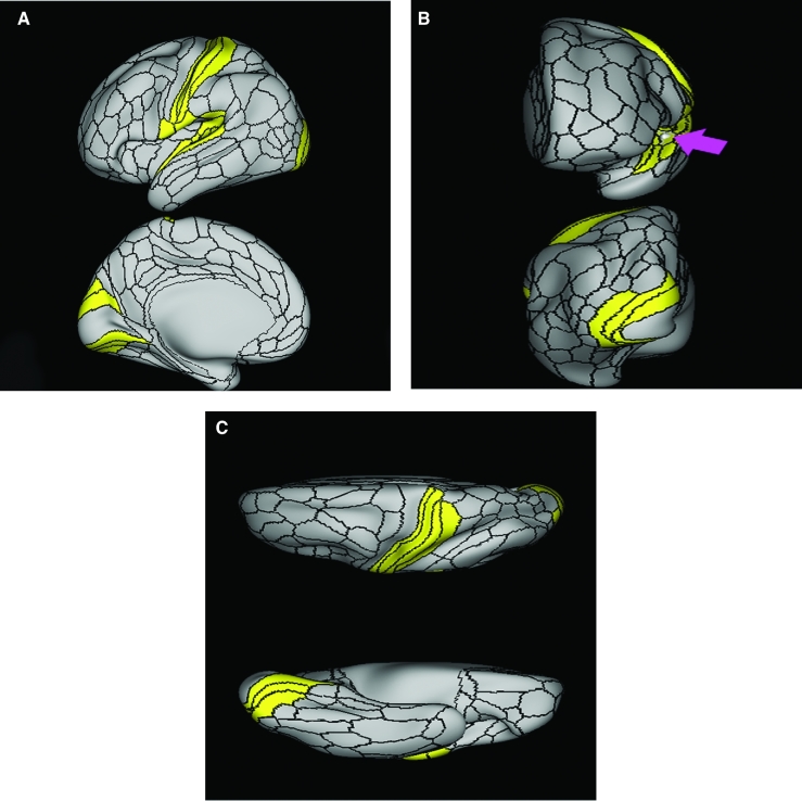 FIGURE 41.