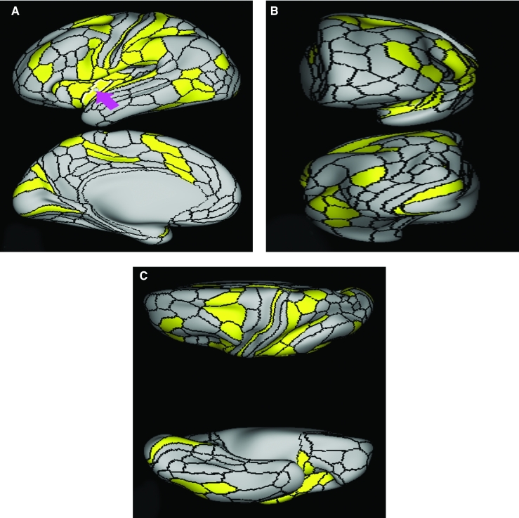 FIGURE 55.