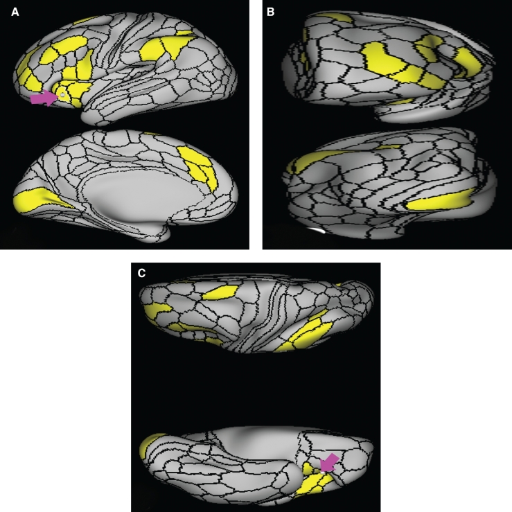 FIGURE 7.