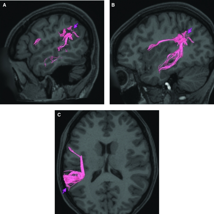 FIGURE 48.