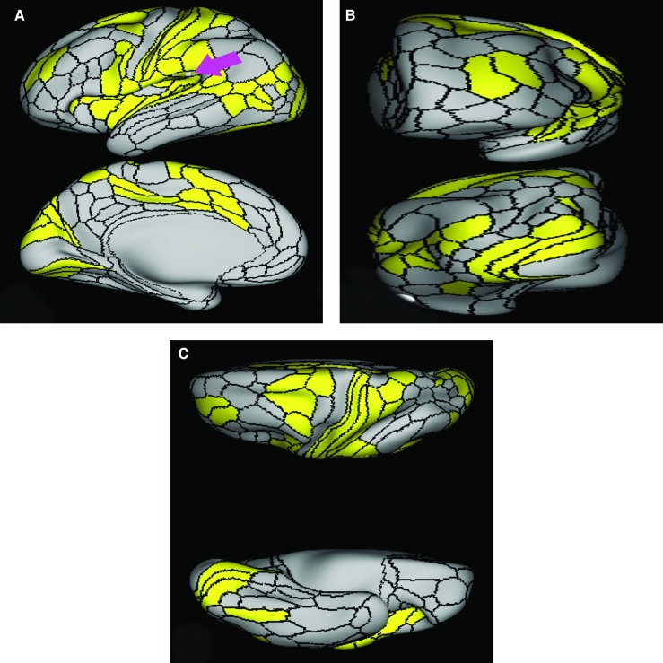 FIGURE 33.