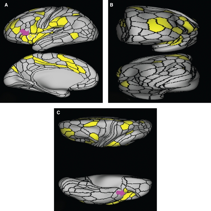 FIGURE 9.