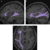 FIGURE 12.