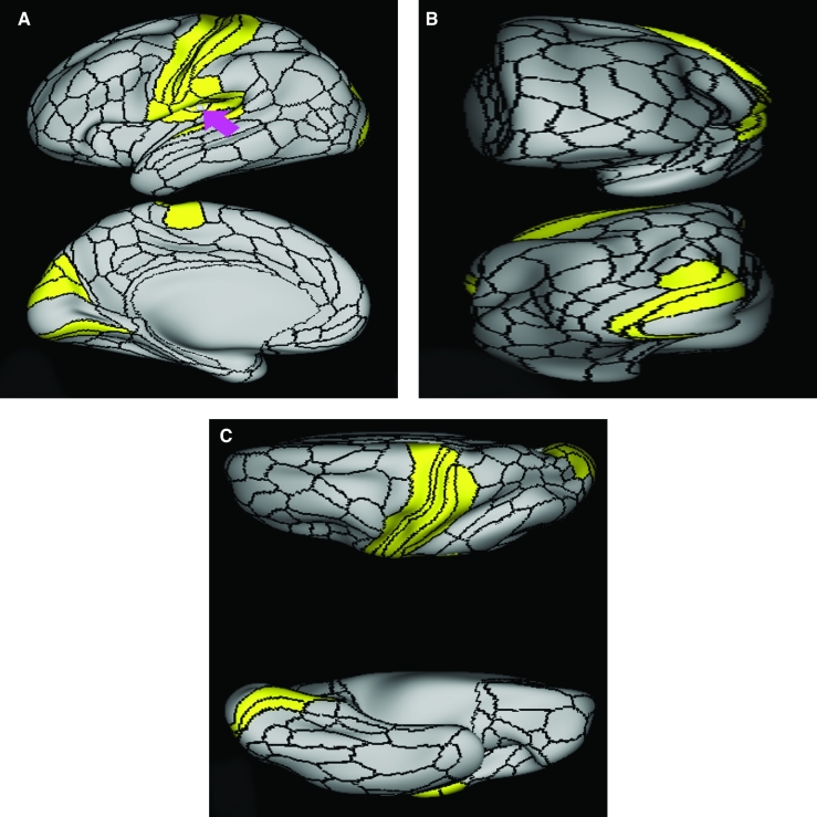 FIGURE 29.