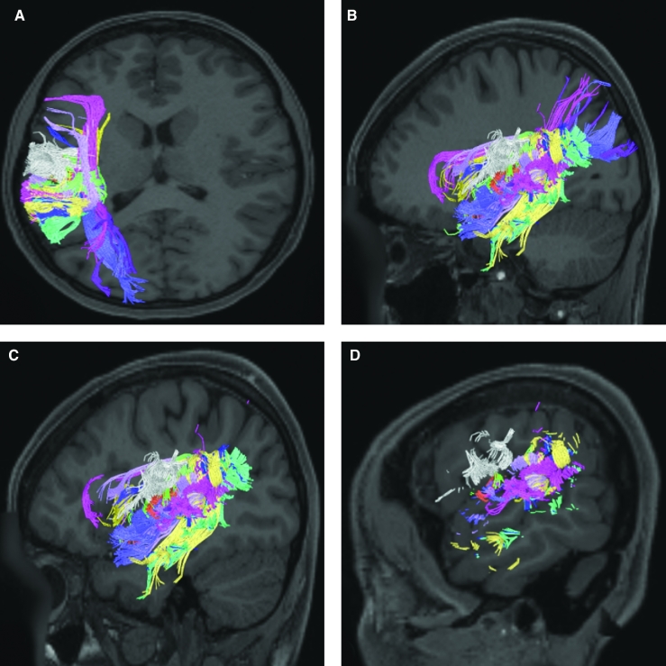 FIGURE 24.