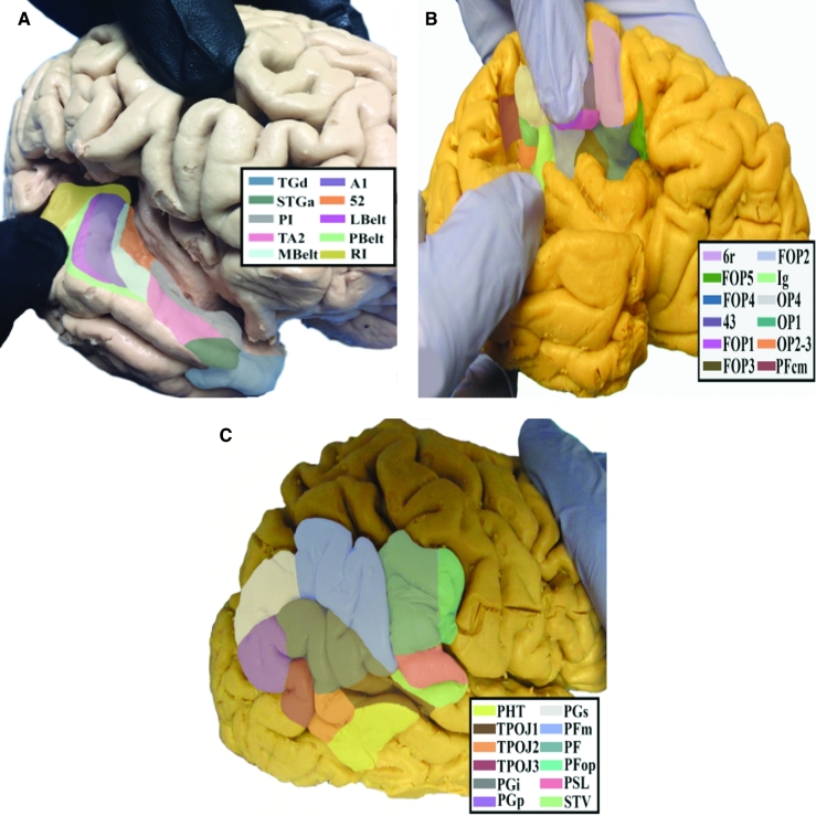 FIGURE 23.