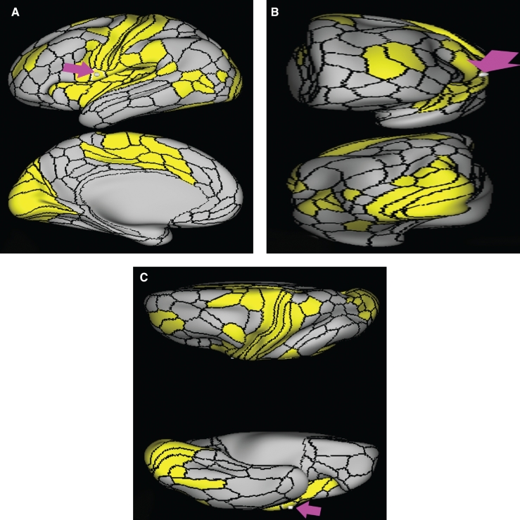 FIGURE 21.