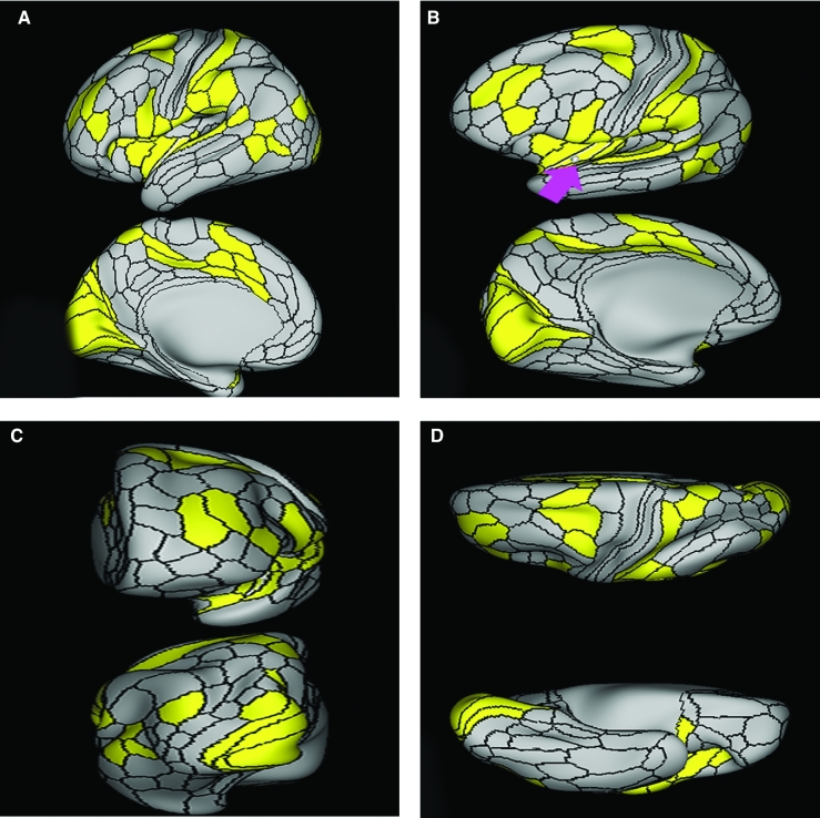 FIGURE 53.