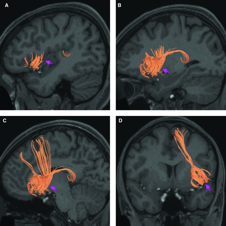 FIGURE 10.