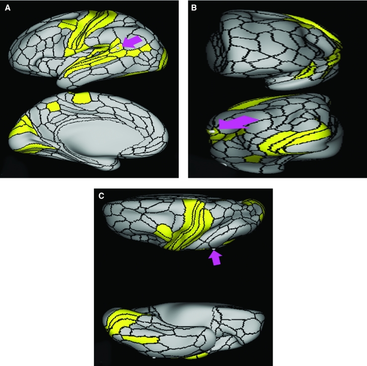 FIGURE 49.