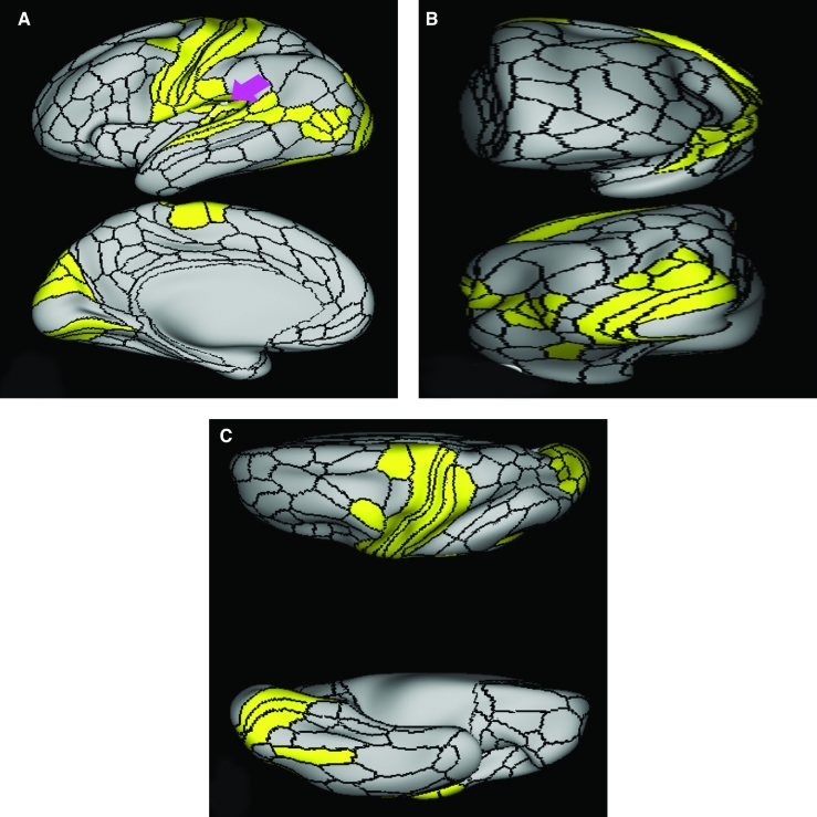 FIGURE 35.