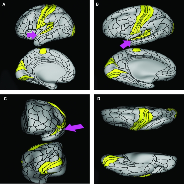 FIGURE 65.