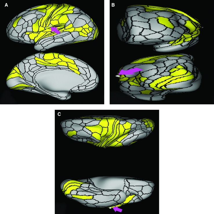 FIGURE 27.