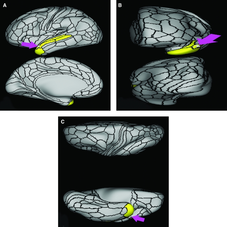 FIGURE 63.