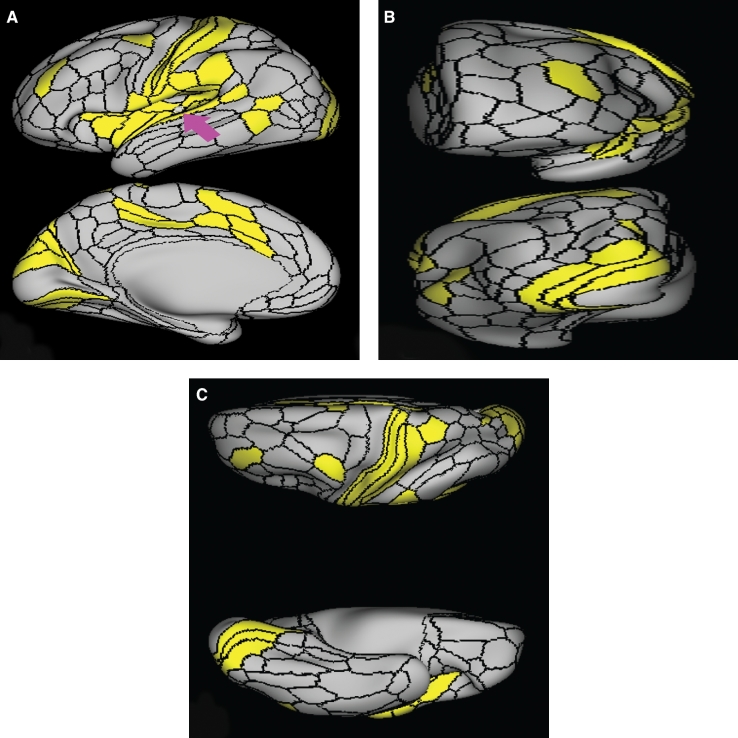 FIGURE 37.