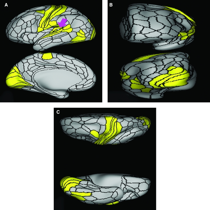 FIGURE 43.