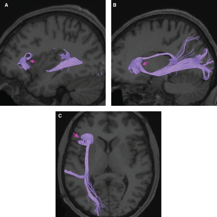 FIGURE 12.