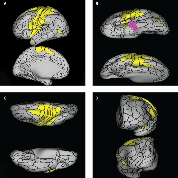 FIGURE 17.