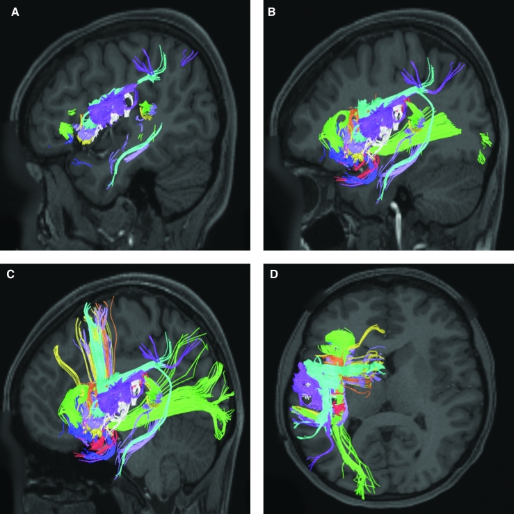 FIGURE 2.