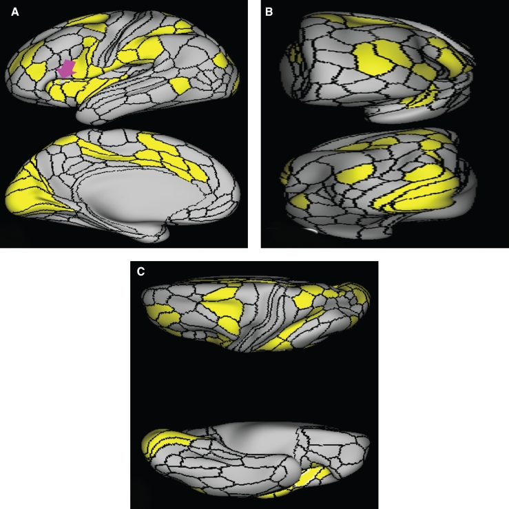 FIGURE 13.