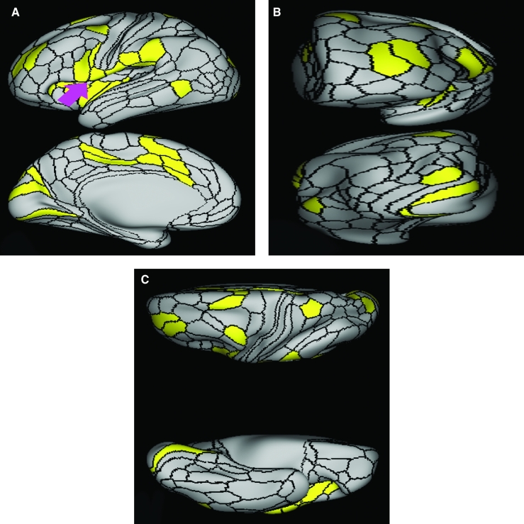 FIGURE 15.