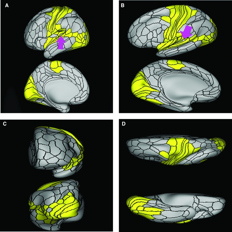 FIGURE 45.