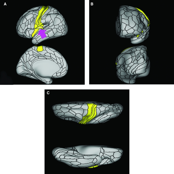 FIGURE 25.