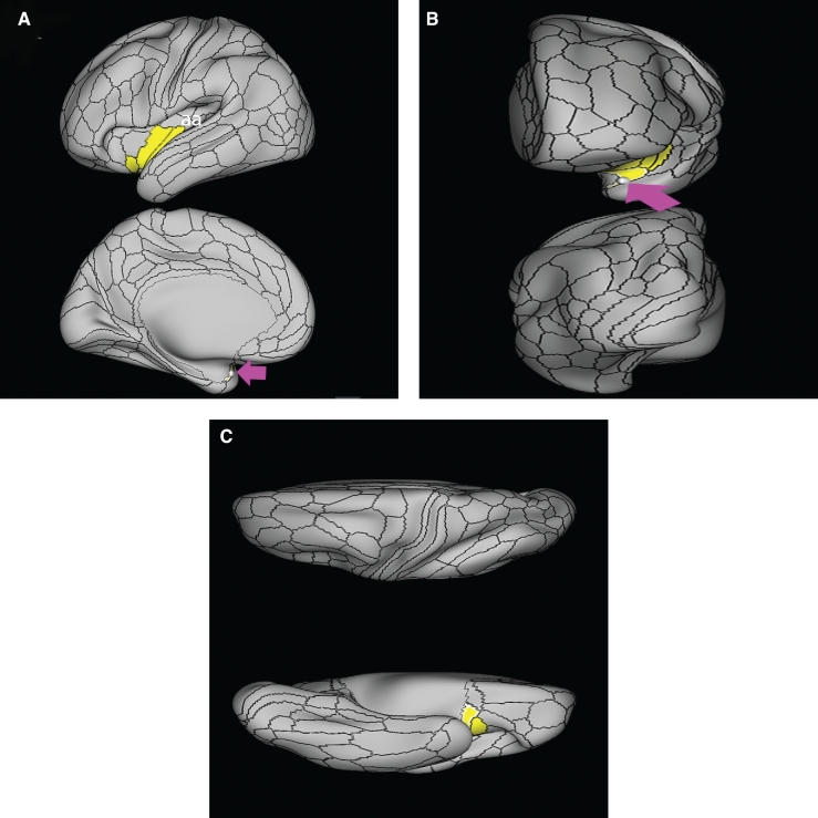 FIGURE 3.