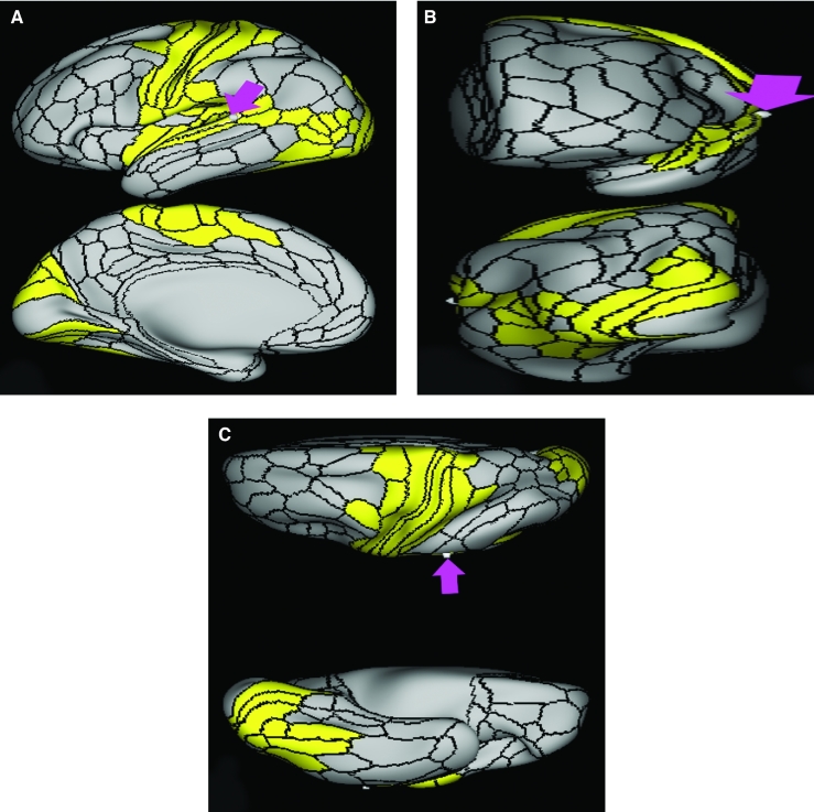 FIGURE 59.