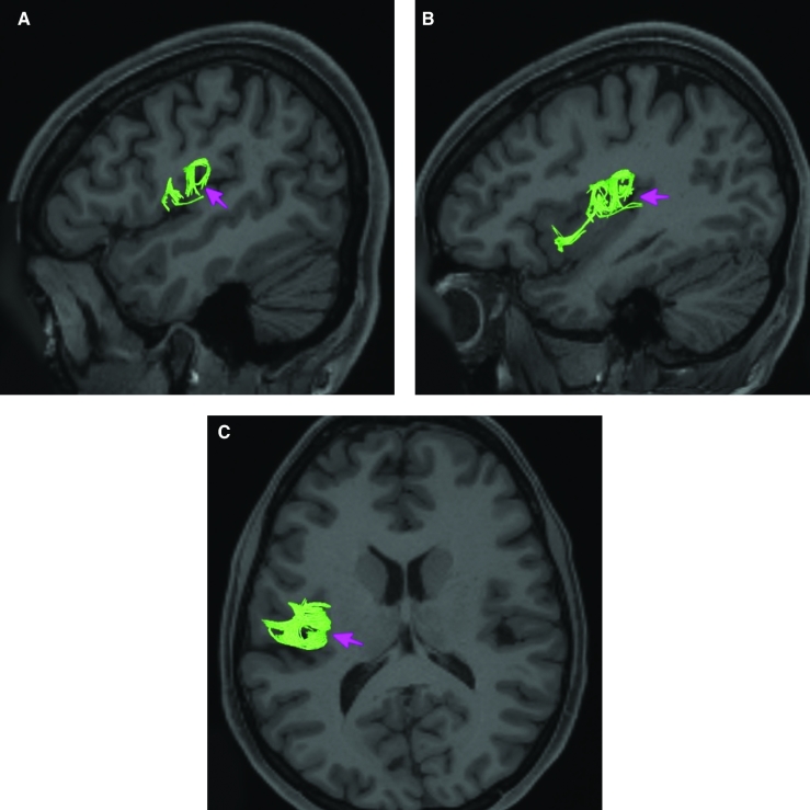 FIGURE 26.