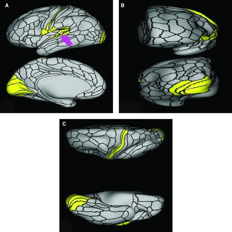 FIGURE 39.