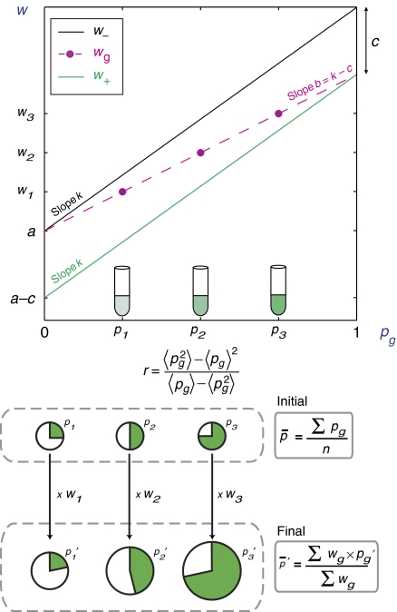 Hamilton's rule