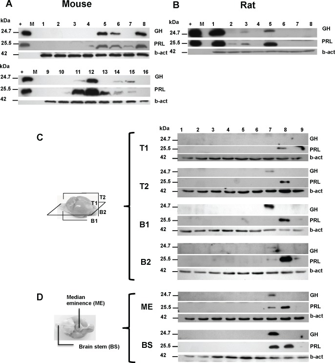 Fig 5