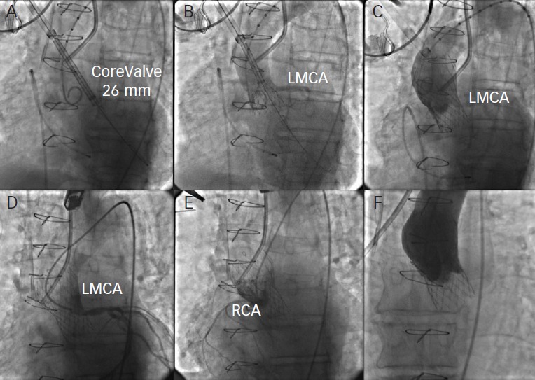 Figure 5: