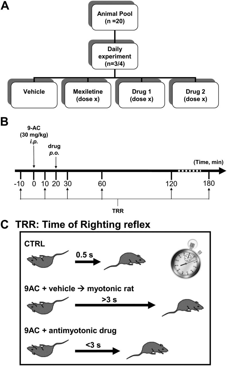 Fig. 1