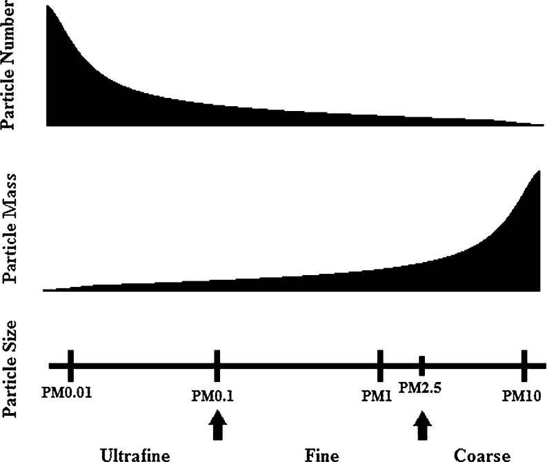 Fig. 1