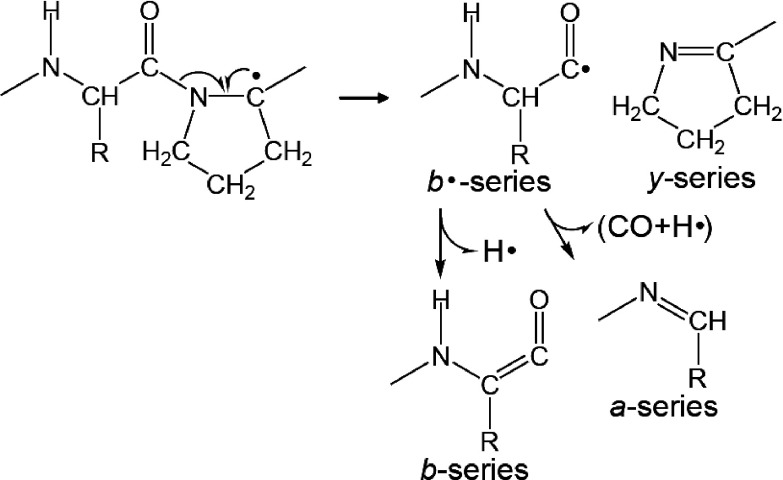 Scheme 9. Peptide bond cleavage at Xxx–Pro.